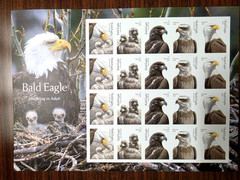 USPS Bald Eagle Sheet of 20 Forever Stamps – Sealed