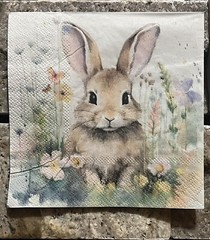 TWO Paper Beverage Decoupage Art Craft Napkin EASTER BUNNY RABBIT-watercolor 5×5