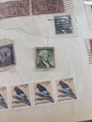 Stamp