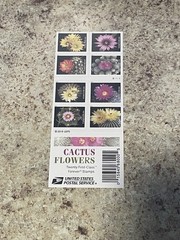 Cactus Flowers – USPS First Class Forever Stamps (2018) Book Of 20 MNH