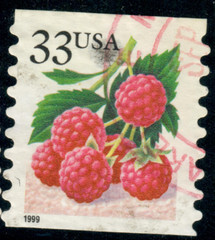 USA – 1999 – Fruits – Booklet Stamps – Raspberries – 33¢ – #3828