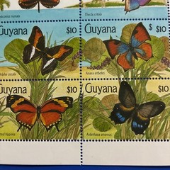 World Butterfly Stamps Guyana 1990 Butterflies Unused 16 Full Sheets
