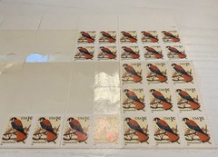 23 USA Stamps .. Kestrel Bird Blocks .. Water Activated/Self-adhesive