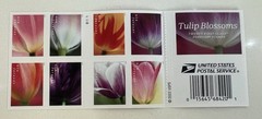 USPS 2023 Tulip Blossom Forever First Class Postage Stamps (20 Stamps)