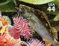 USA 2009 KELP FOREST 11 TH IN SERIES NATURE OF AMERICA TEN STAMPS,SCOTT 4423 MNH
