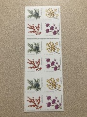 Book of 20 Forever Stamps – Winter Berries