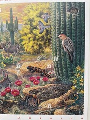 USA 33 Cent Nature of America: Sonoran Desert Postage Stamps, Full Sheet of 25